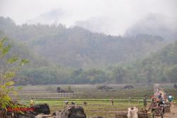 Working on the land.